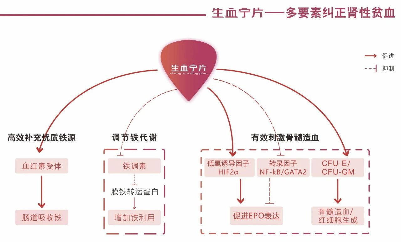 AG8亚洲国际游戏集团_首页官网
