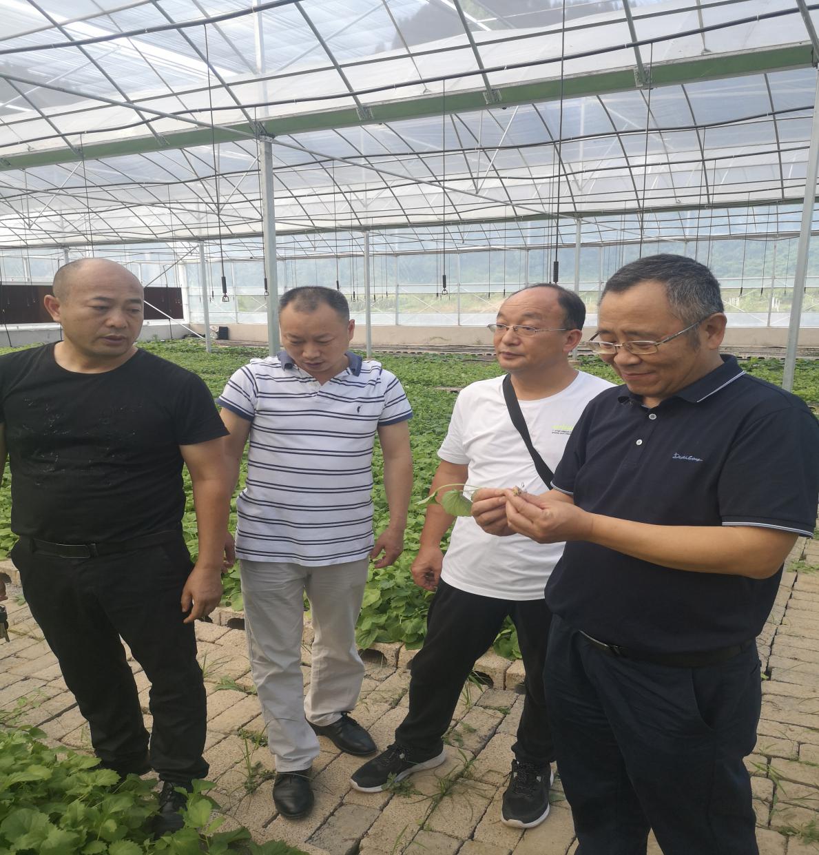 AG8亚洲国际游戏集团_首页官网
